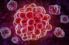 Лимфоциты в крови: значение для иммунной системы