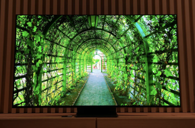 Использование телевизора в образовательном процессе