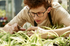 Гранты на аграрные специальности будут предоставлять с меньшими требованиями