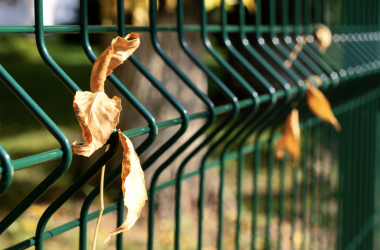 Школы установят правила пребывания на своей территории