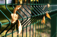 Школы установят правила пребывания на своей территории