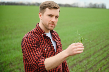 У будущих учителей и агрономов были самые низкие баллы для поступления