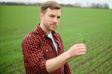 У будущих учителей и агрономов были самые низкие баллы для поступления