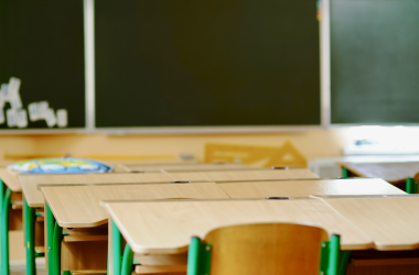 Комитет ВР признал неудовлетворительной работу МОН по еще одному направлению