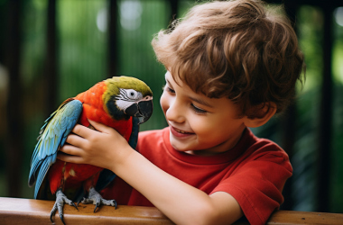 Рассказываем детям о птицах: творческие задания