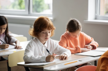 Мифы о частном образовании