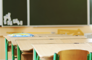 Государство не может содержать такое количество учебных заведений, – омбудсмен