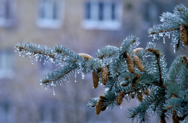 Столичным школьникам продлят зимние каникулы до 1 февраля
