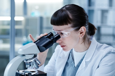 Эксперимент по проектной аспирантуре: подготовка PhD