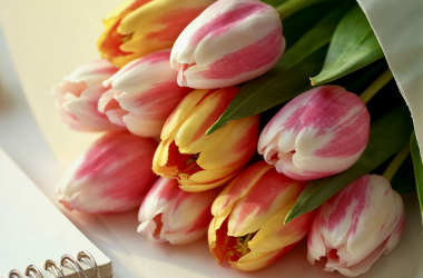 Профсоюз предлагает праздновать 8 Марта без традиционных букетов