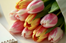 Профсоюз предлагает праздновать 8 Марта без традиционных букетов