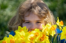 Исследуем цветочные растения: интересные дидактические задания